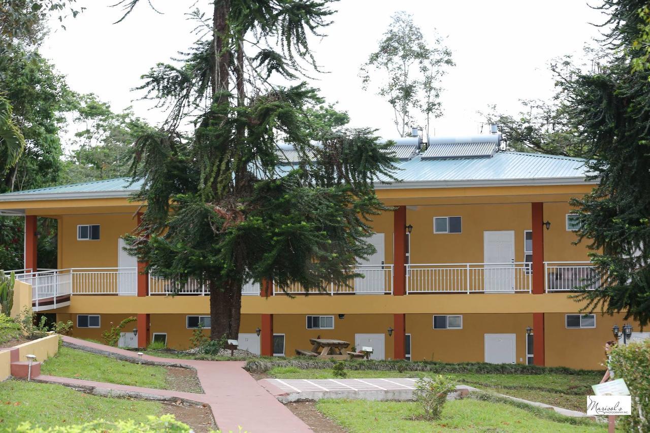 Hotel Villa Florencia Turrialba Kültér fotó