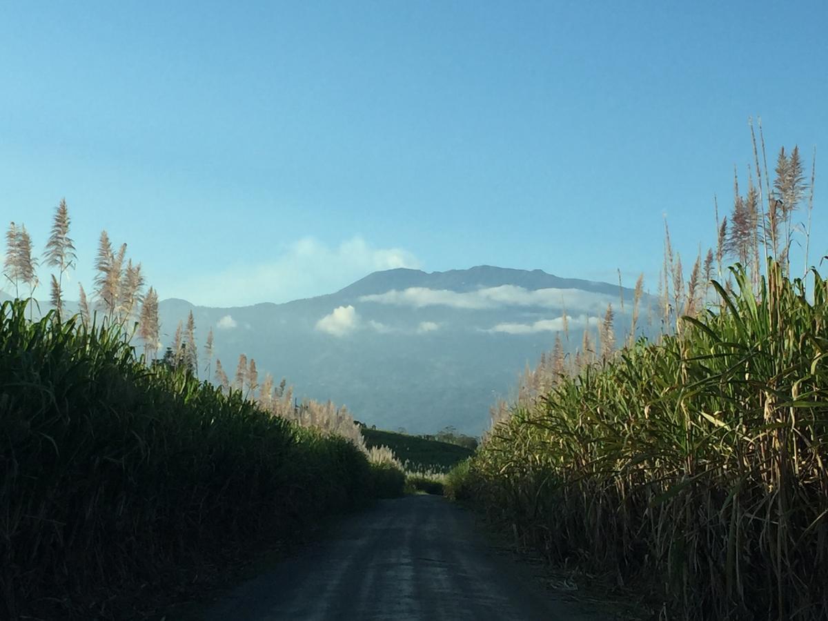 Hotel Villa Florencia Turrialba Kültér fotó